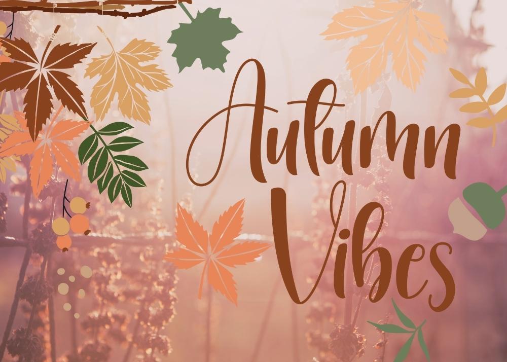 autumn vibes autumn vibes