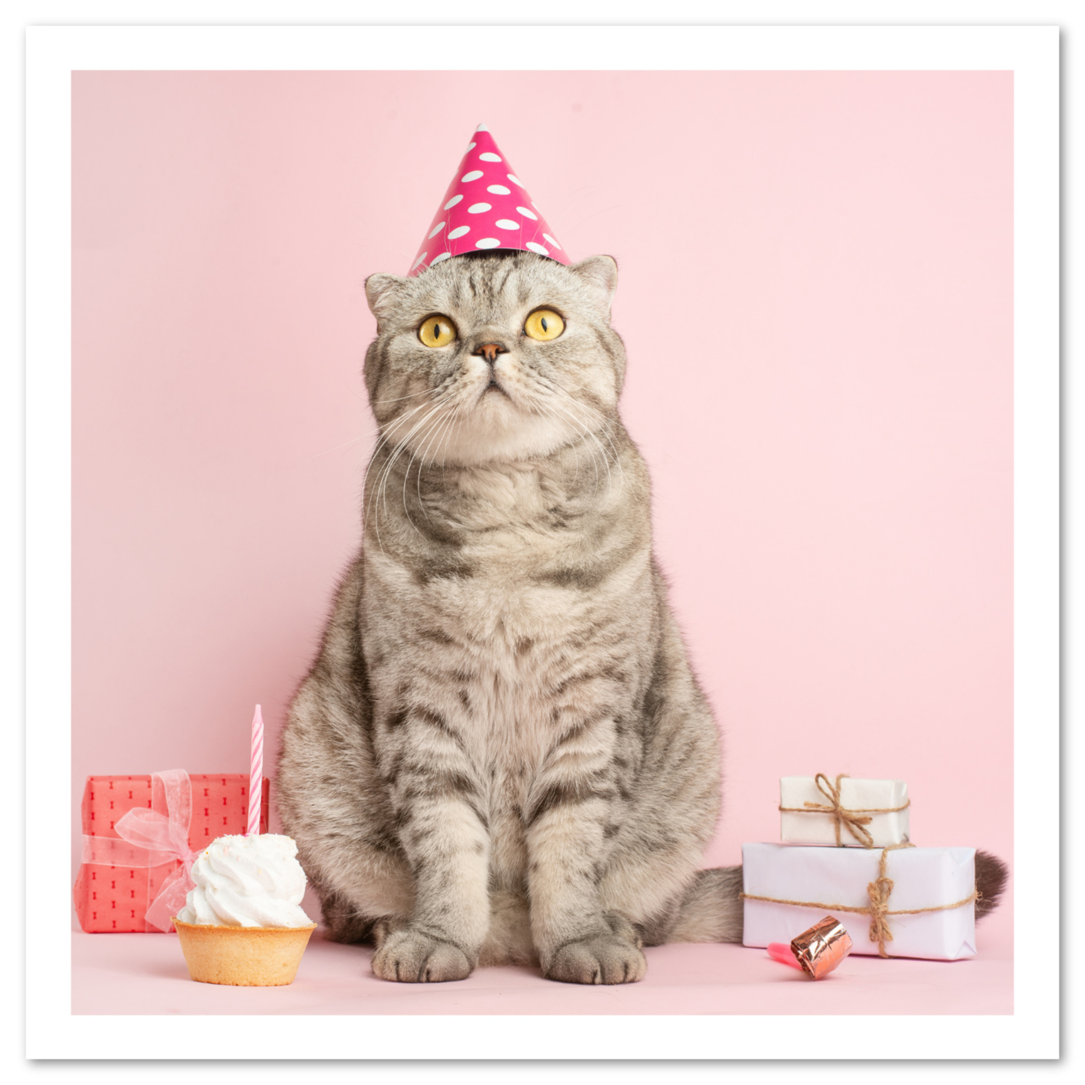 Free Printable Birthday Cards