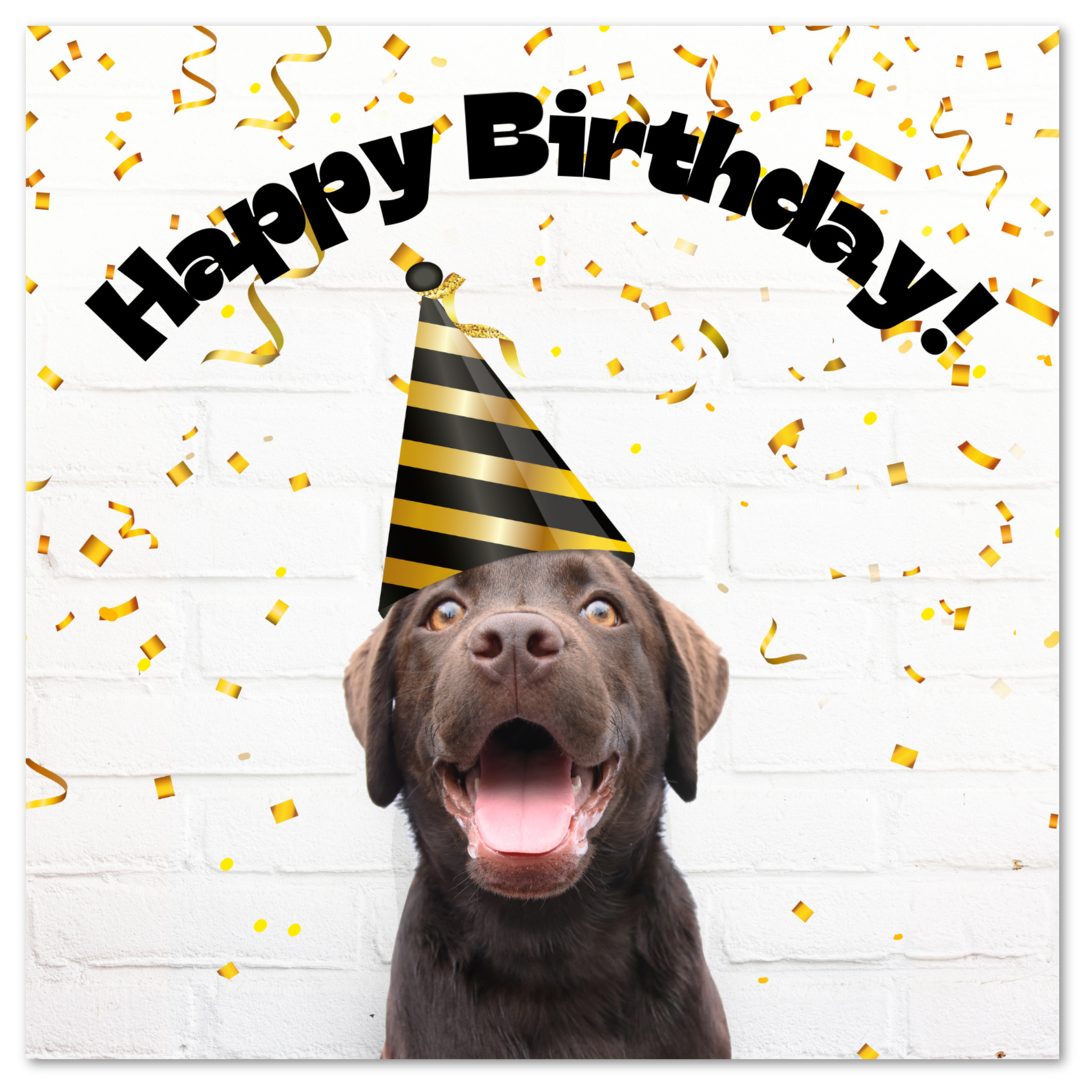 Printable Birthday Cards For Dogs Printable World Holiday