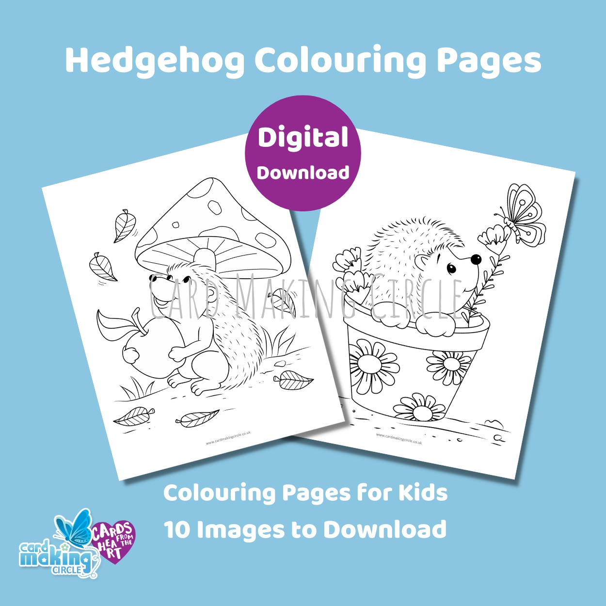 Hedgehog Colouring Pages for Kids
