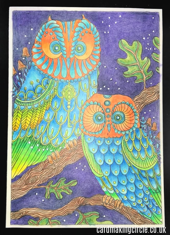 An owl illustration from Daydream by Hanna Karlzon.  coloured with Polychromos coloured pencils.