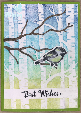 Woodland scene with bird on branch